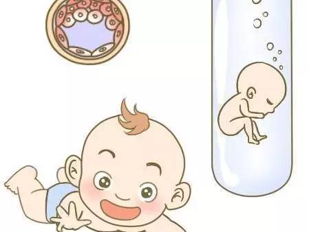 私人同性供卵代孕报价多少